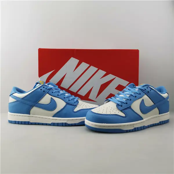 Nike Dunk Low Coast (W) 