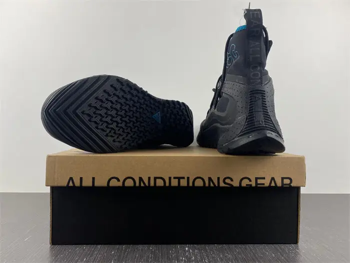 Nike ACG Air Terra Antarktik 