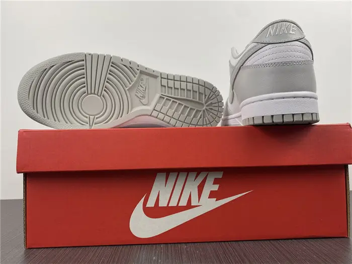 NIKE DUNK LOW RETRO 
