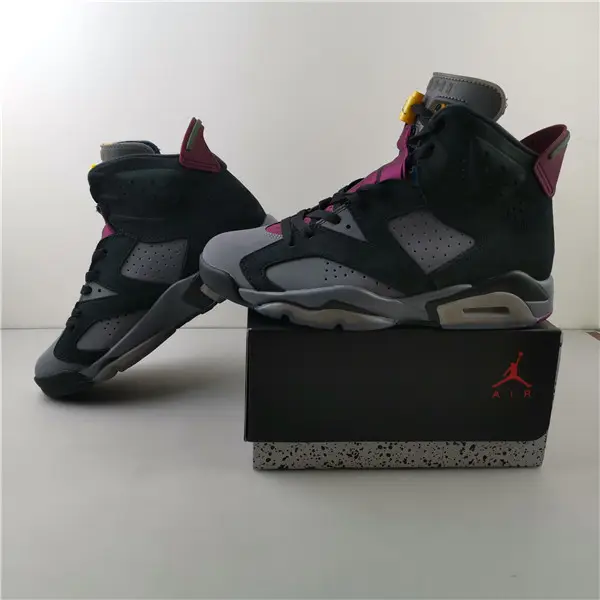 Air Jordan 6 