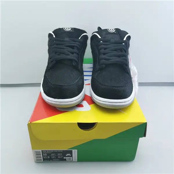 NIKE SB DUNK LOW BLACK WHITE 