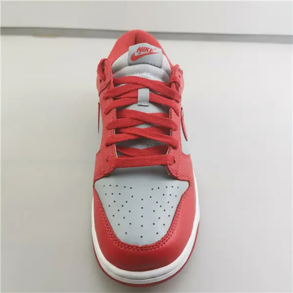 Nike Dunk Low SB Red Grey 