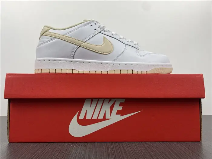 Nike Dunk Low 