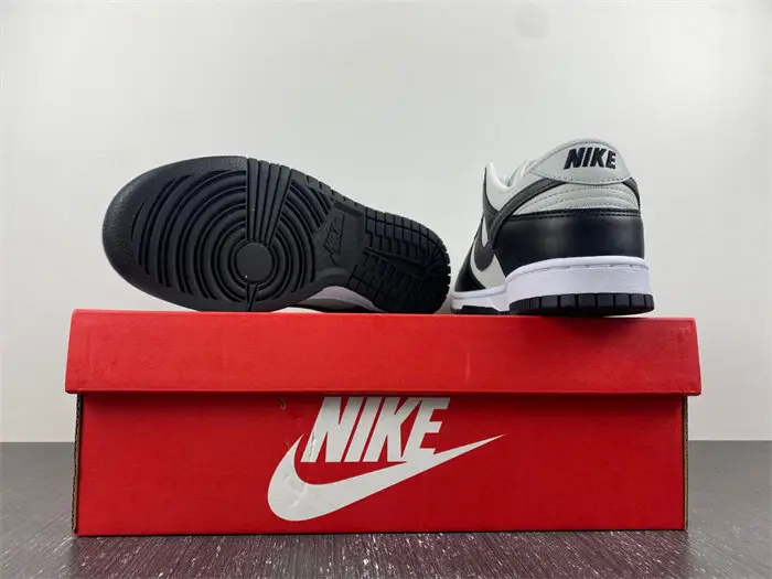 Nike Dunk Low Style Code 