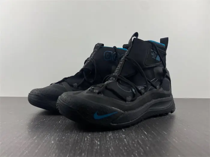 Nike ACG Air Terra Antarktik 