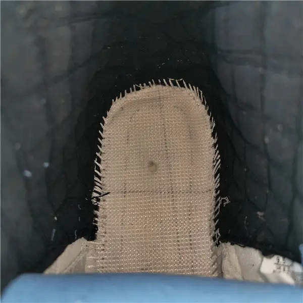 Air Jordan 12 