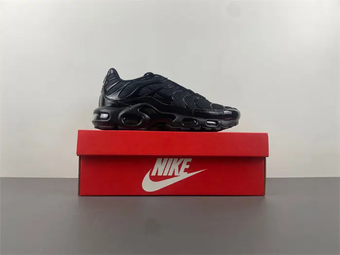 Nike Air Max Plu 
