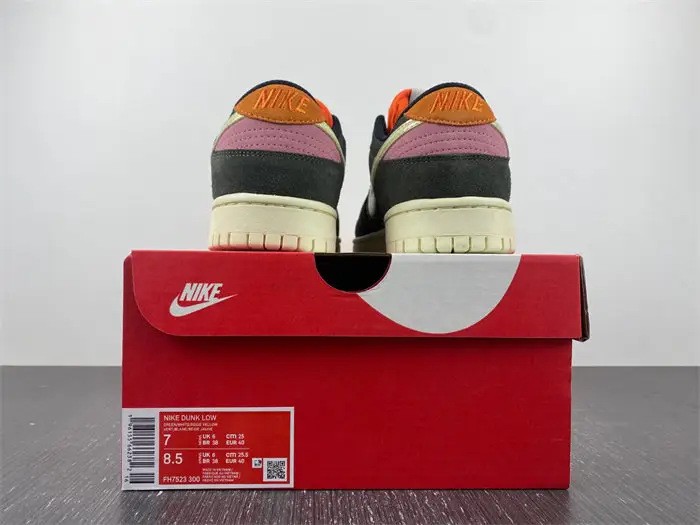 Nike Dunk Low Rainbow Trout 
