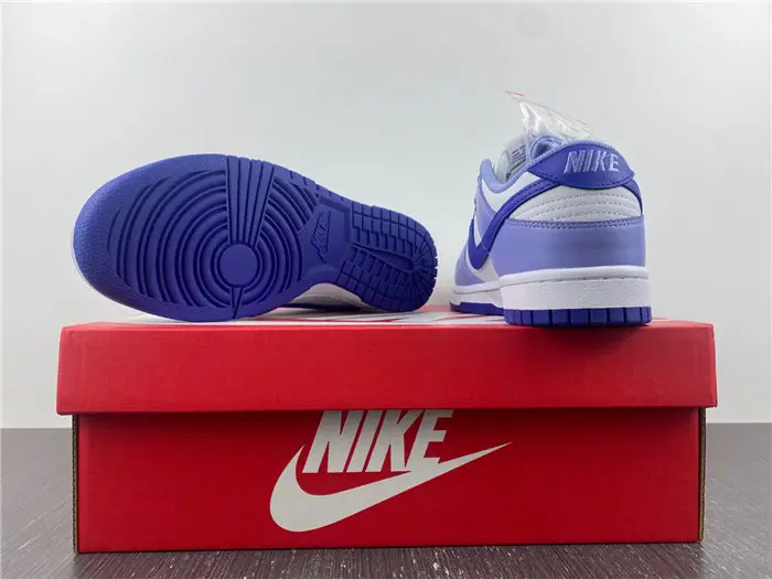 Nike Dunk Low Blueberry 