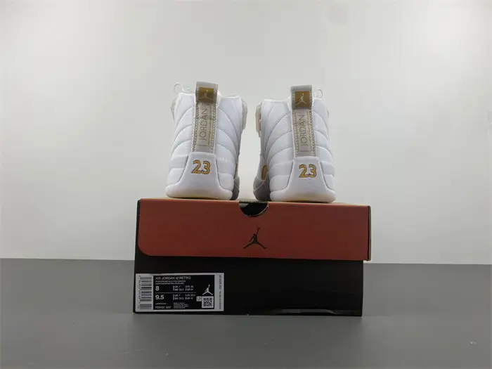 Air Jordan 12 