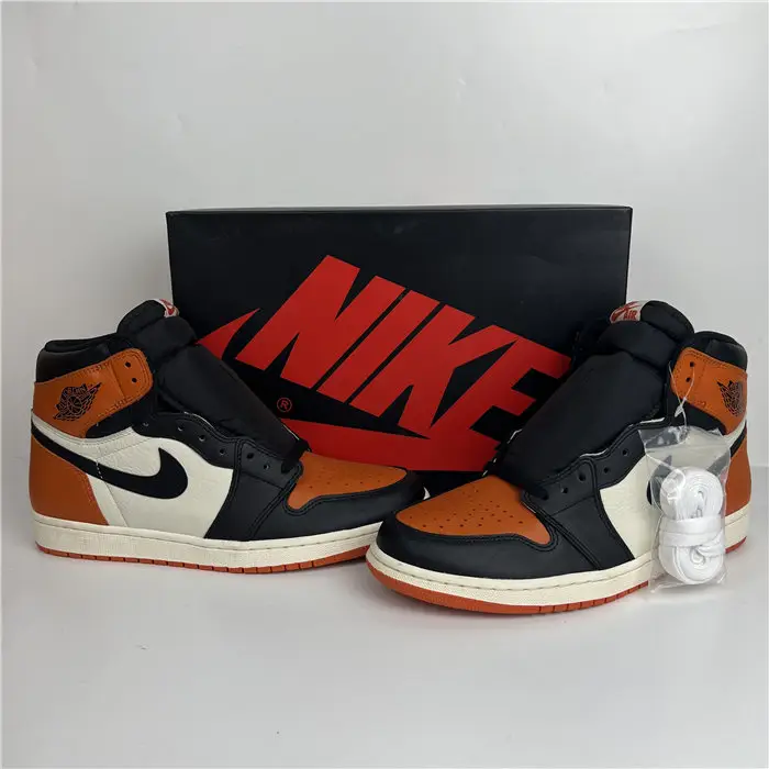 Jordan 1  Shattered Backboard  DDE2487