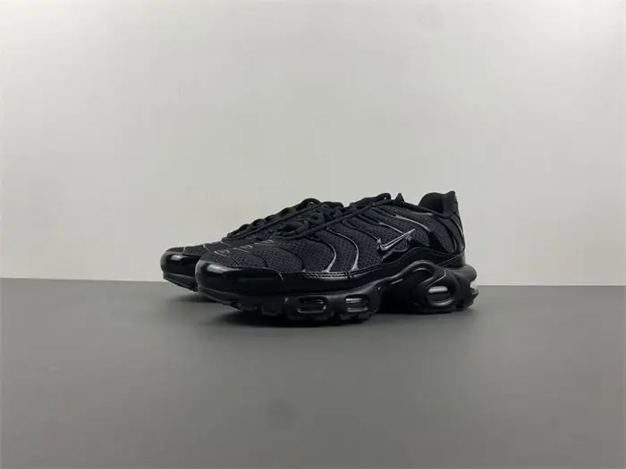 Nike Air Max Plu 