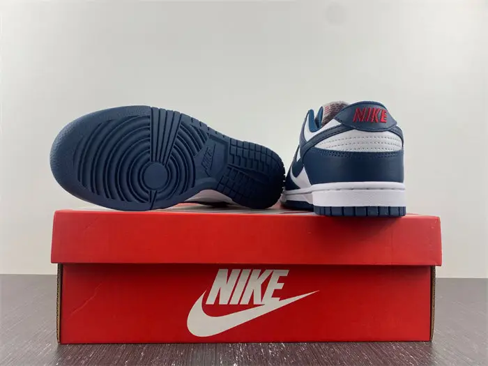 Nike Dunk Low Valerian Blue 