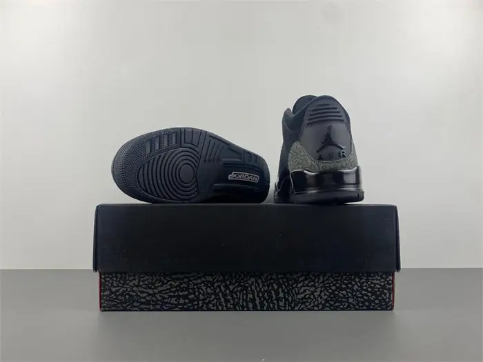 Air Jordan 3  black cat 