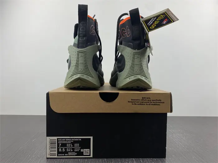 Nike ACG Terra Antarktik GORE-TEX Juniper Fog 