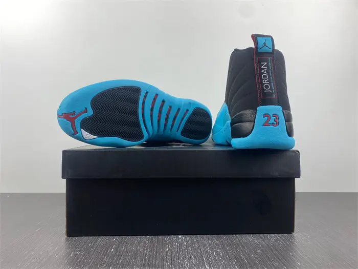 Air Jordan 12 