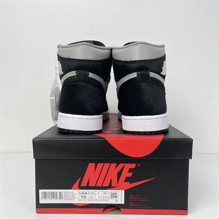 Jordan 1 Retro High OG Twist 2.0 