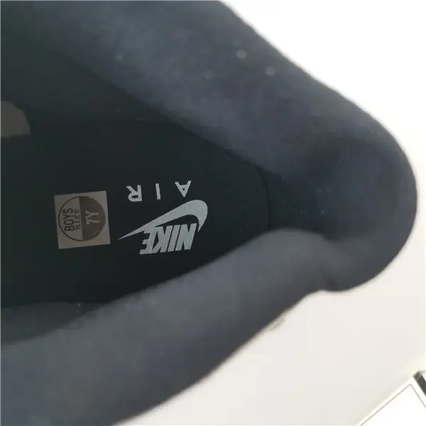 Jordan 11 Retro Concord 