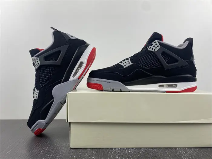 Nike SB x r Jordan 4 