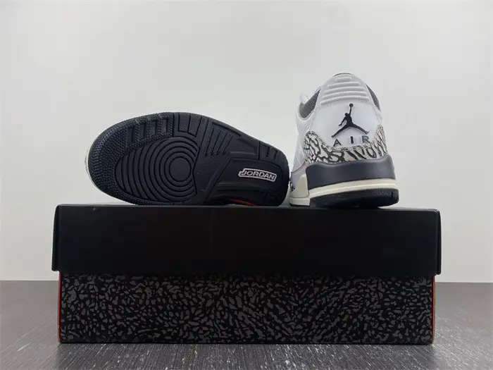 Air Jordan 3 GS 