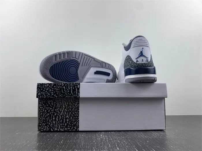 Air Jordan 3 