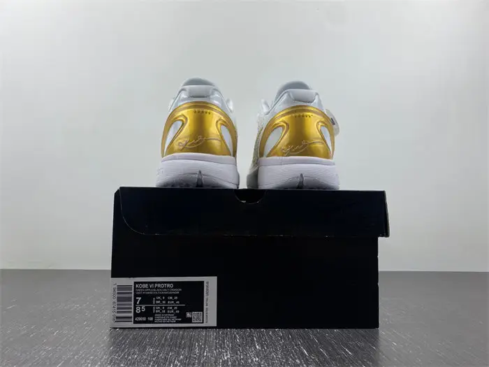 Zoom Kobe VI 