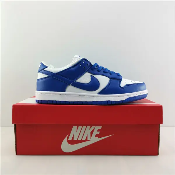 NIKE DUNK LOW RETRO 