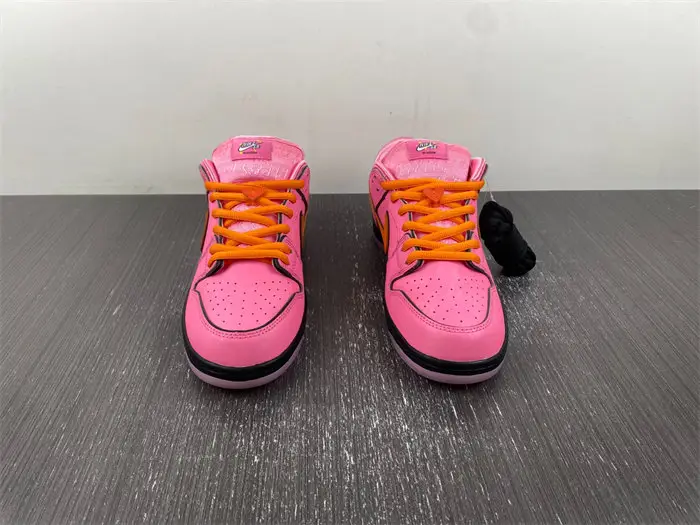 Feitian policewoman x Nike SB dunk 