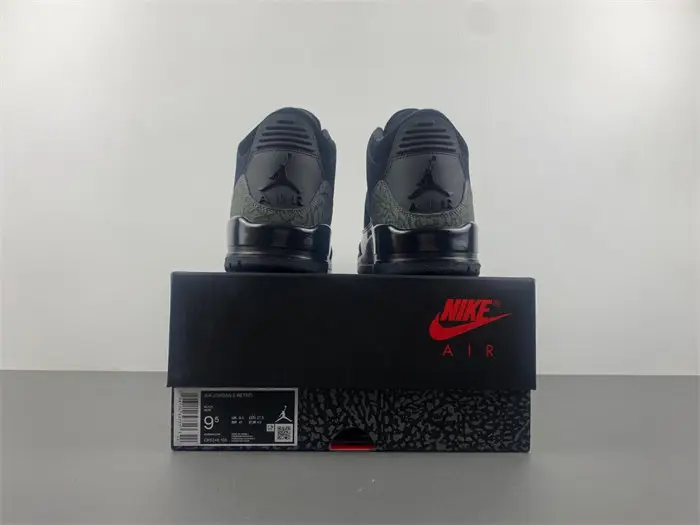Air Jordan 3  black cat 
