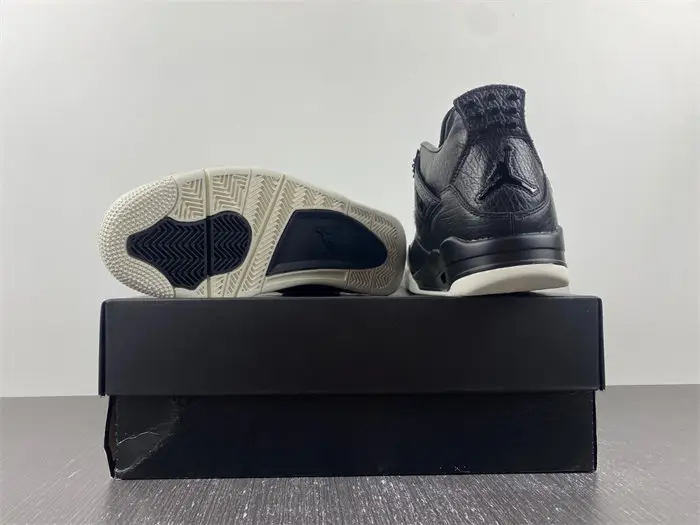 Air Air Jordan 4 Premium 