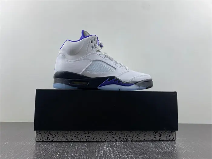 Jordan 5 Retro Dark Concord 