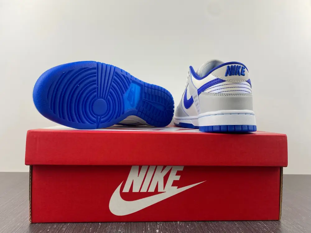 Nike Dunk Low Worldwide White Blue 