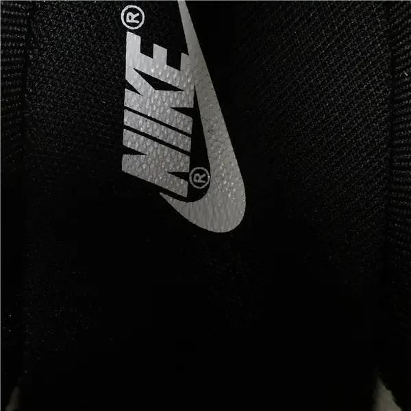 Nike Dunk Low EMB NBA 75th Anniversary 