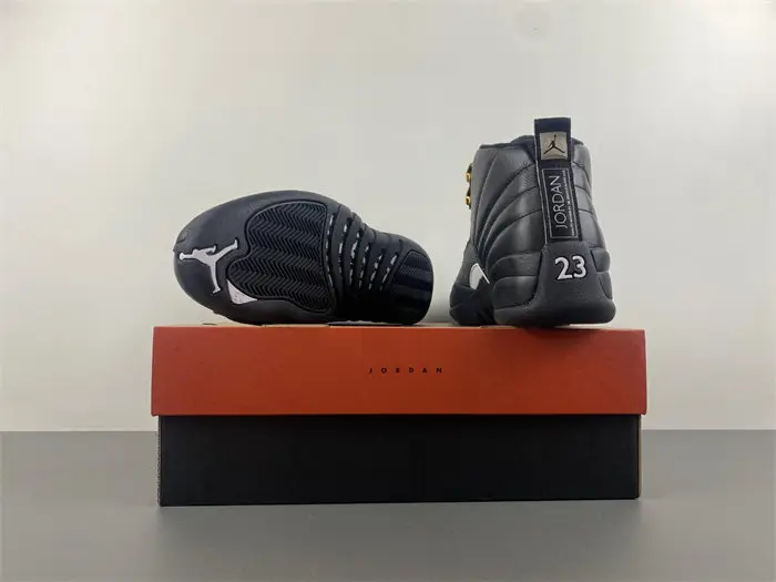Air Jordan 12 