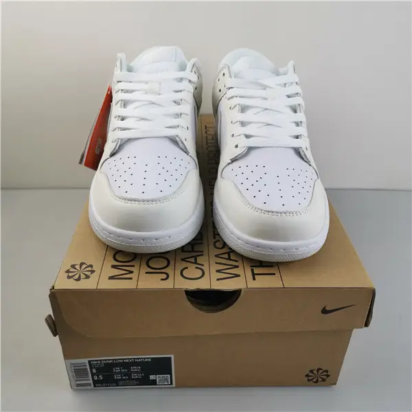 Nike Dunk Low Move To Zero Sail (W) 