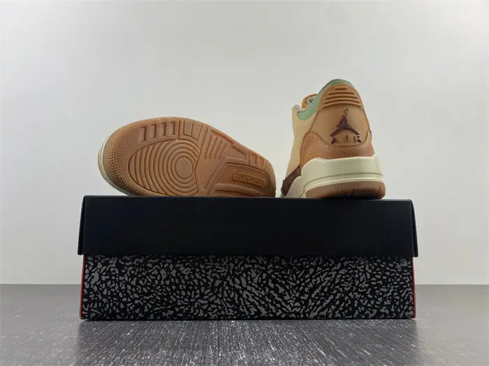 Air Jordan 3 