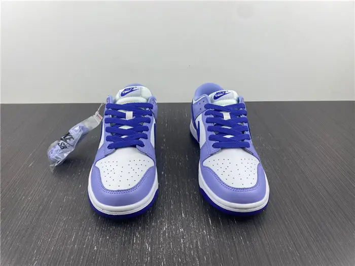 Nike Dunk Low Blueberry 