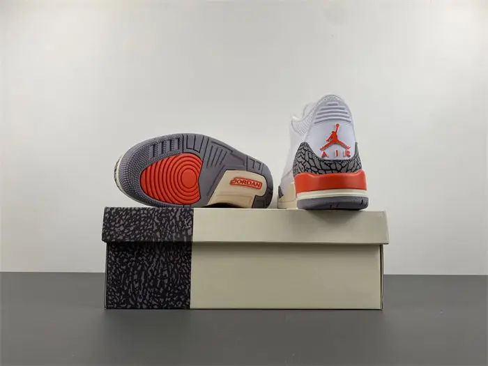 Air Jordan 3 WMNS 
