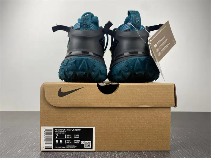 ACG Mountain Fly Low 