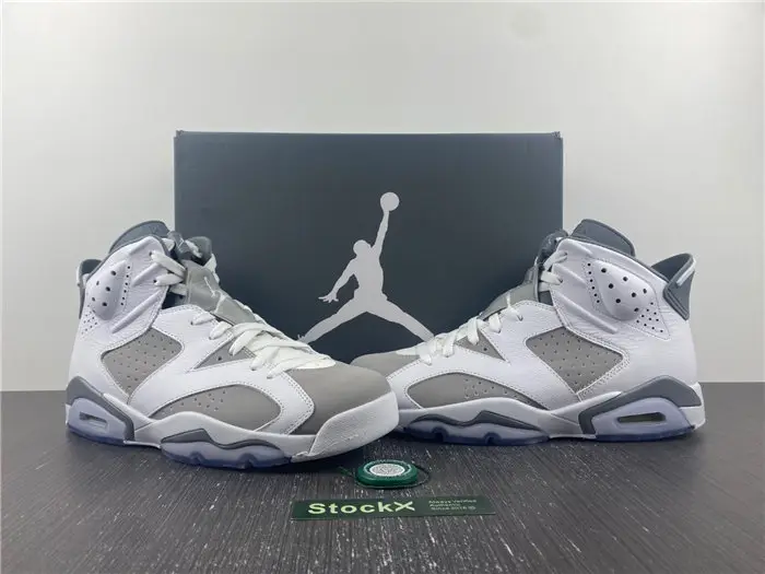 Air Jordan 6 