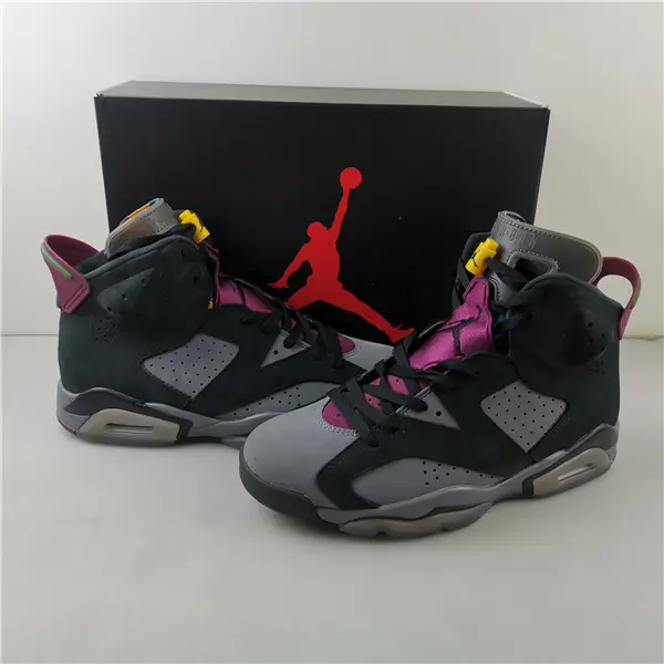 Air Jordan 6 
