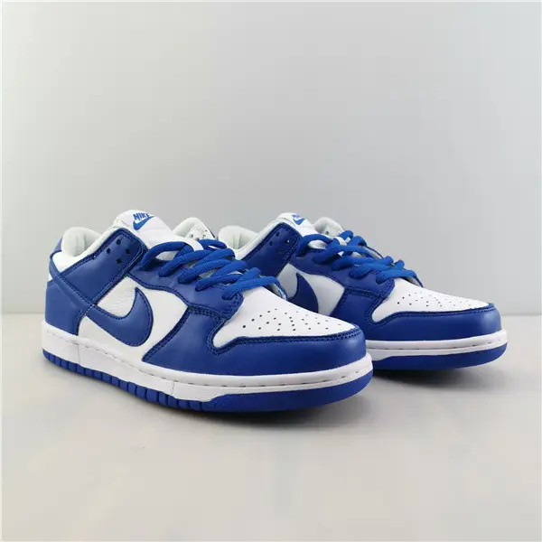 NIKE DUNK LOW RETRO 