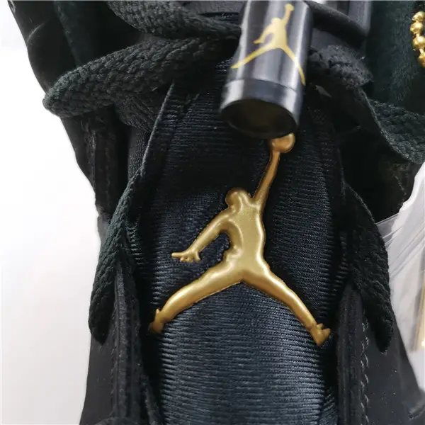 JORDAN 6 RETRO DMP (2020) - 