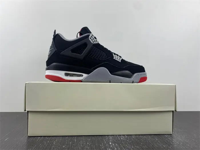 Nike SB x r Jordan 4 