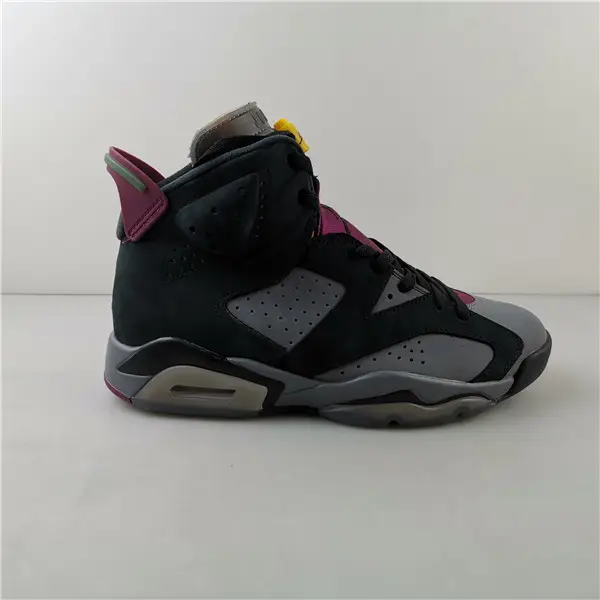 Air Jordan 6 