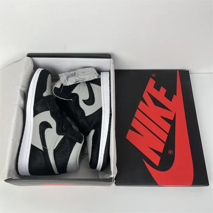 Jordan 1 Retro High OG Twist 2.0 