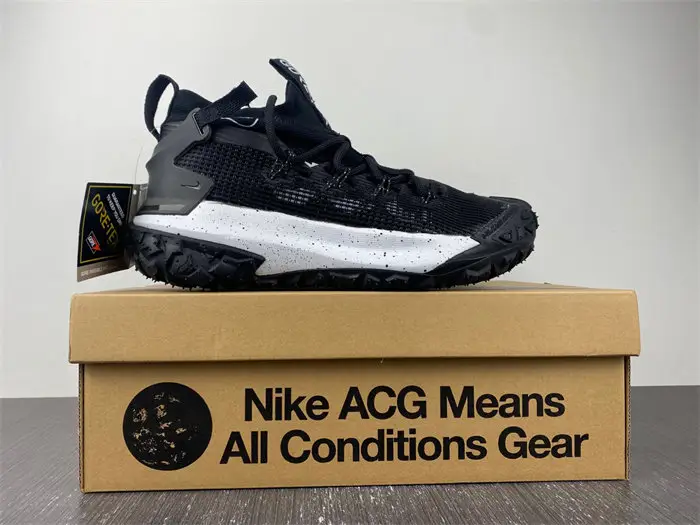 Nike ACG Mountain Fly Low Gore-Tex SE Dark Smoke Grey 