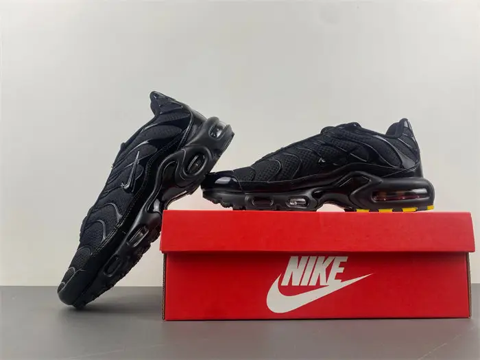 Nike Air Max Plu 