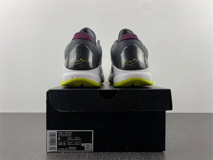 Nike Kobe 5 Protro Chaos 