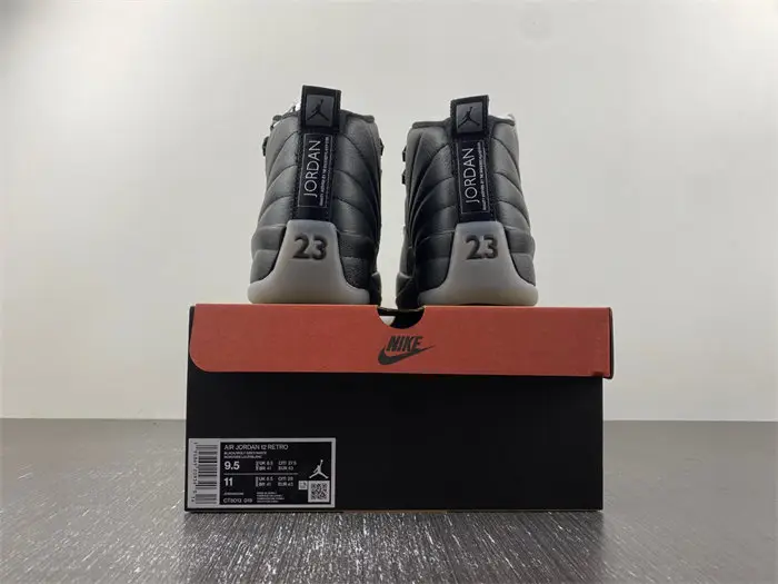 Jordan 12 Retro Stealth 